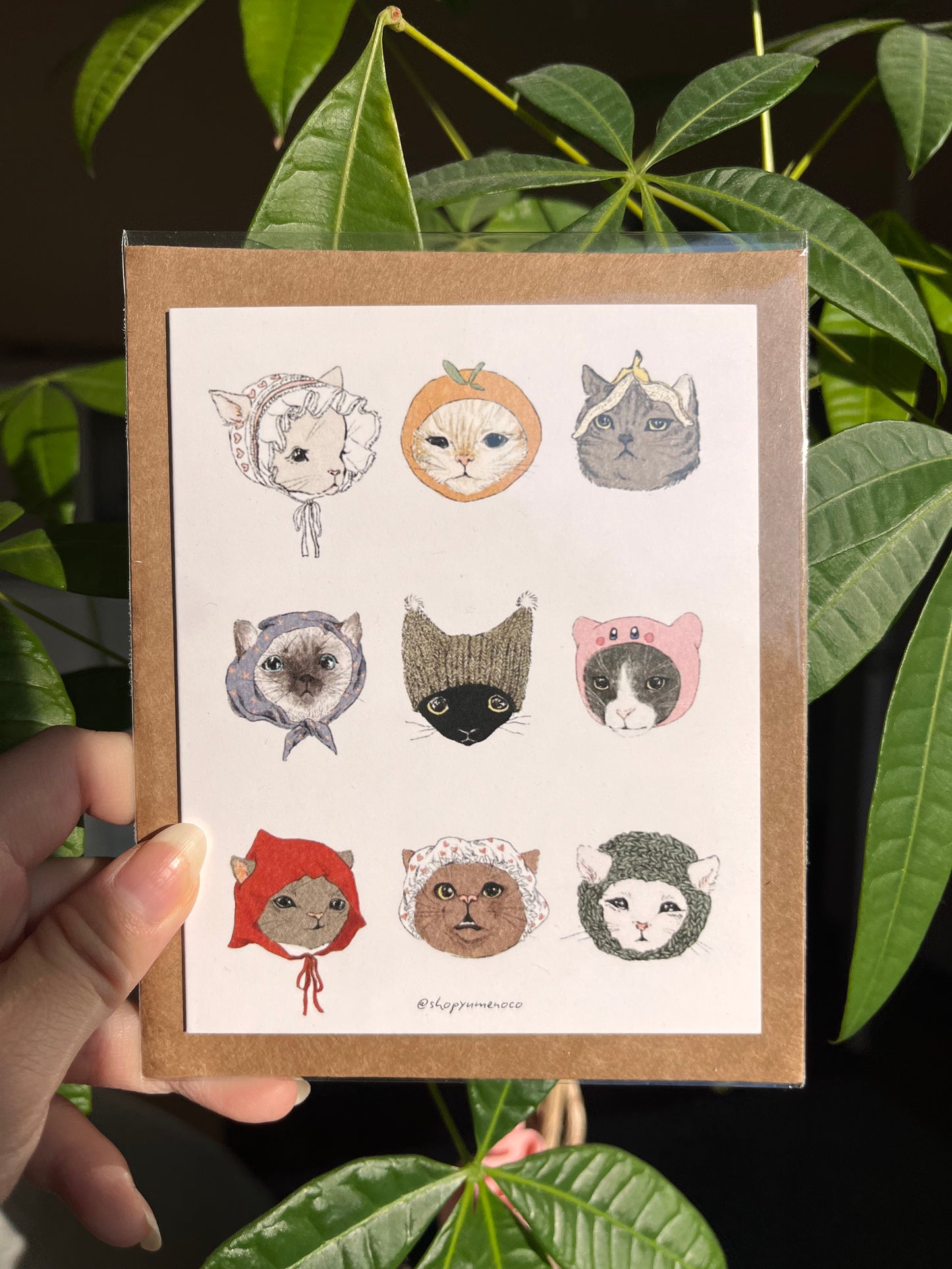 Cats Wearing Hats Greeting Card