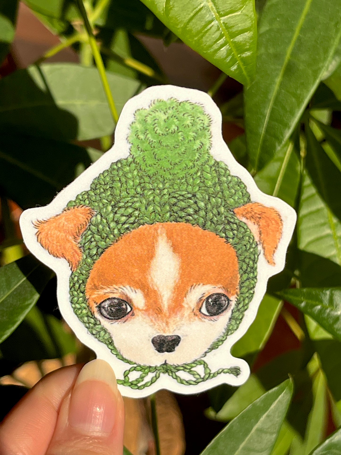 Baby Chihuahua Sticker