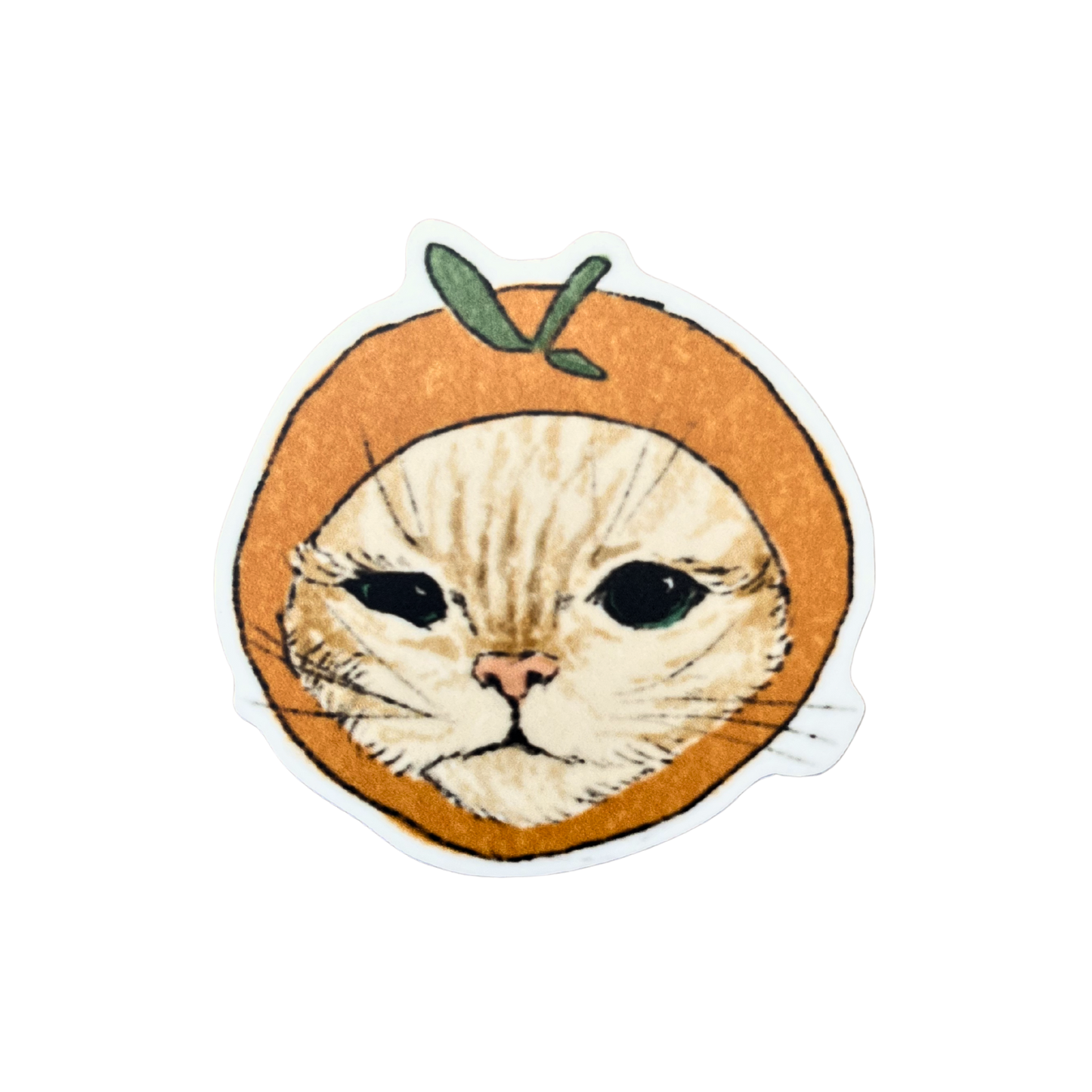 Orange Cat Sticker
