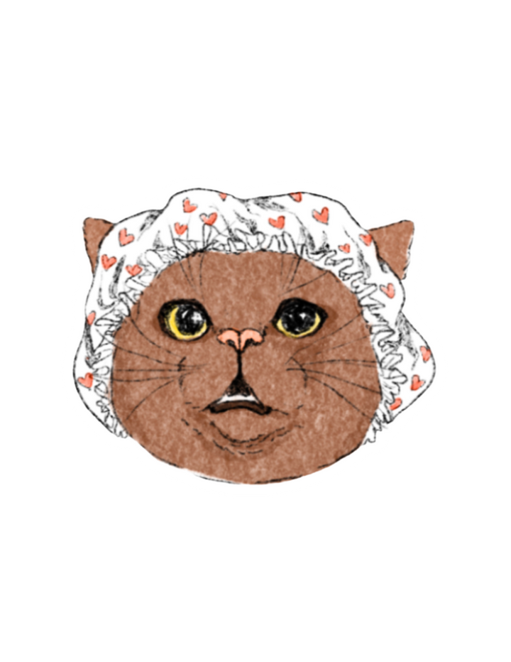 Granny Cat Sticker