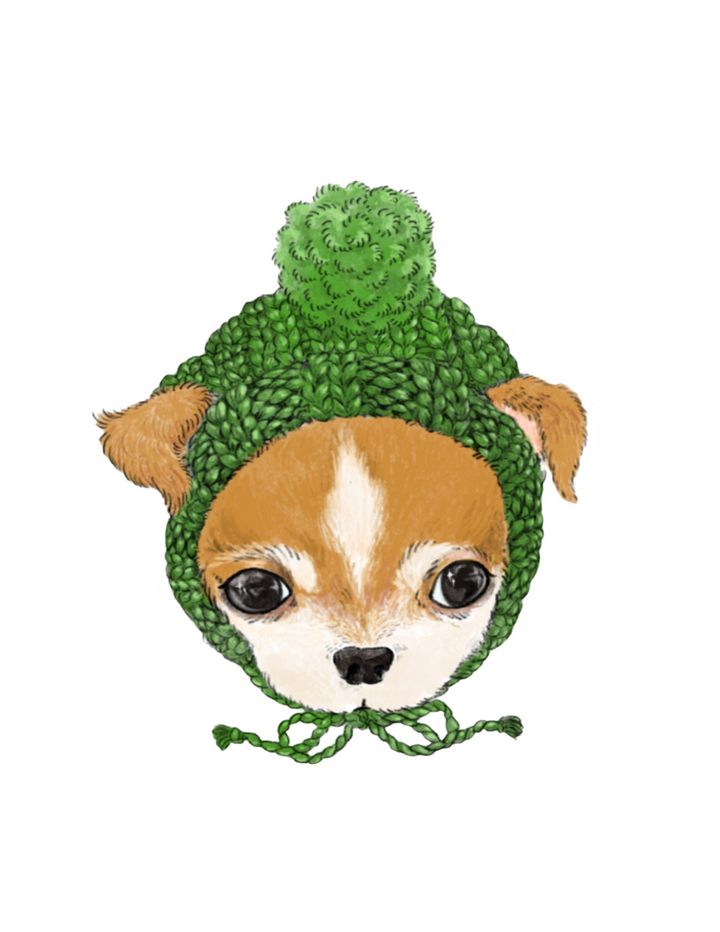 Baby Chihuahua Sticker
