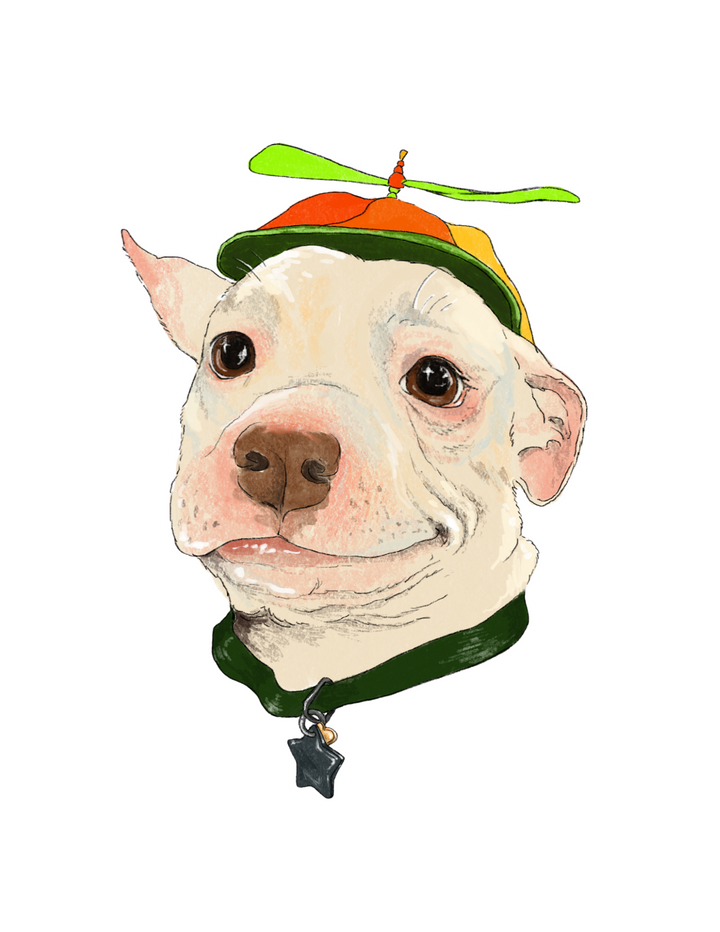 Propeller Hat Pitbull Sticker