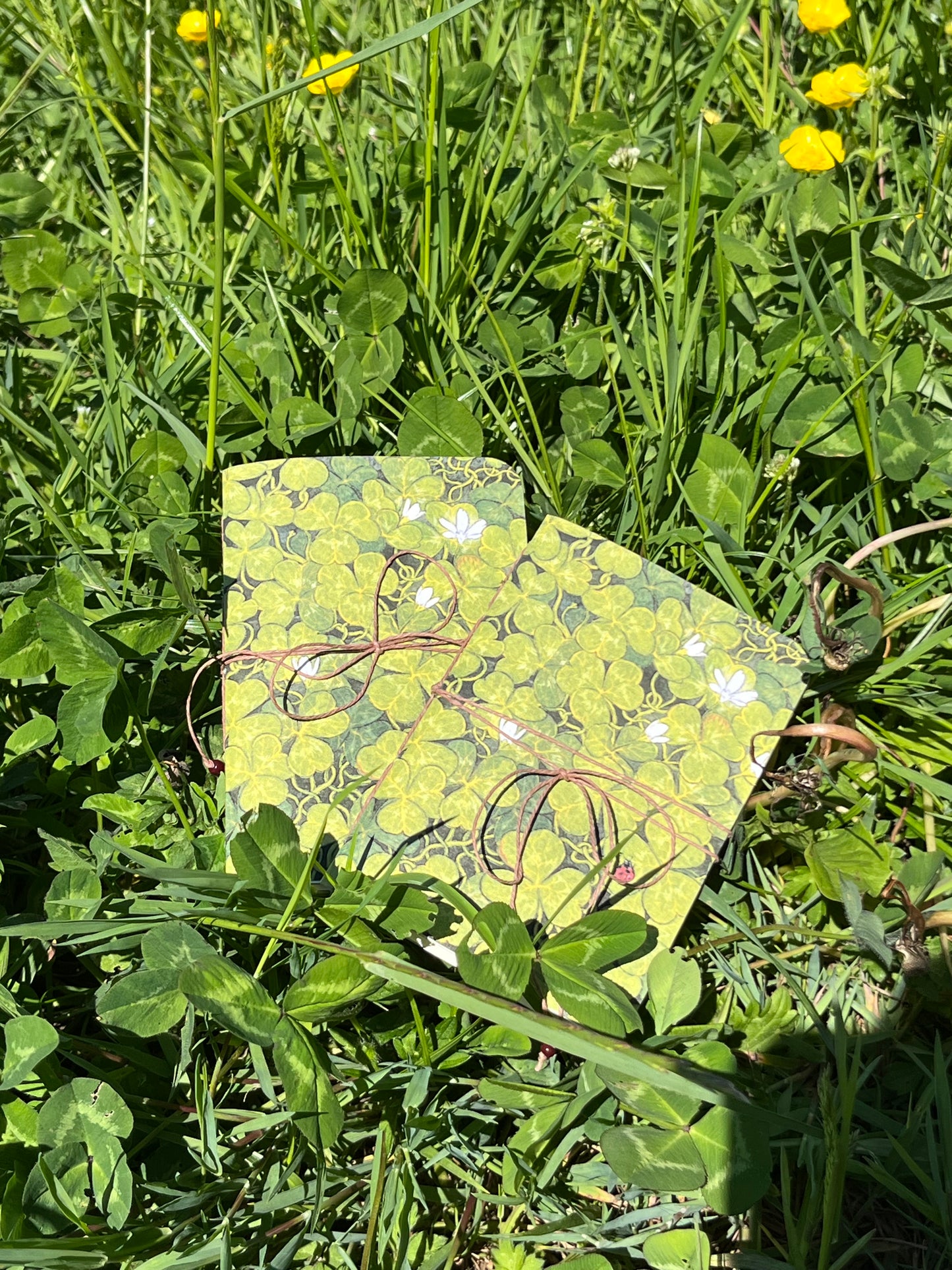 "Luck Is On My Side" Pocket Notebook