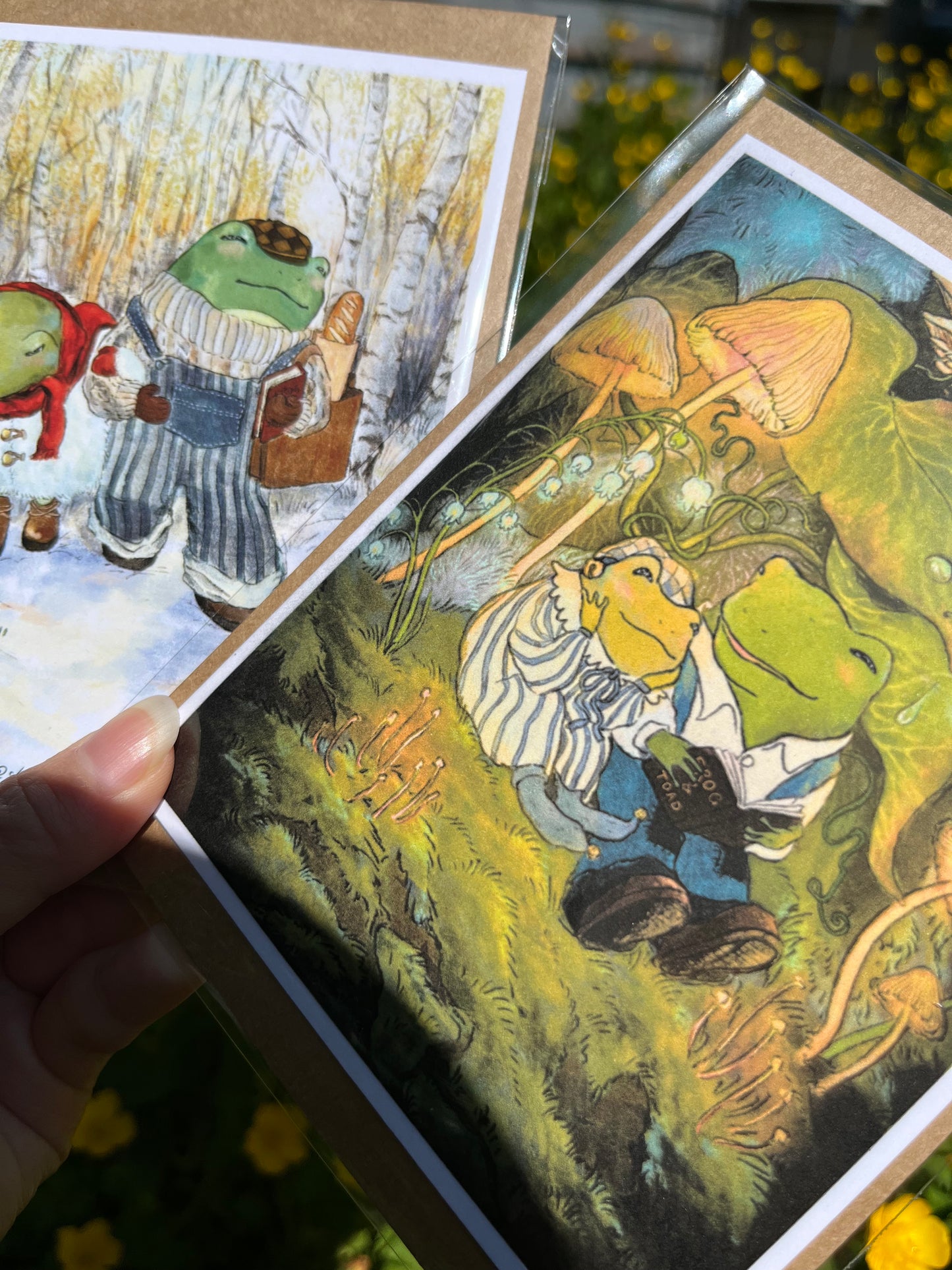 Bedtime Story Frog Greeting Card