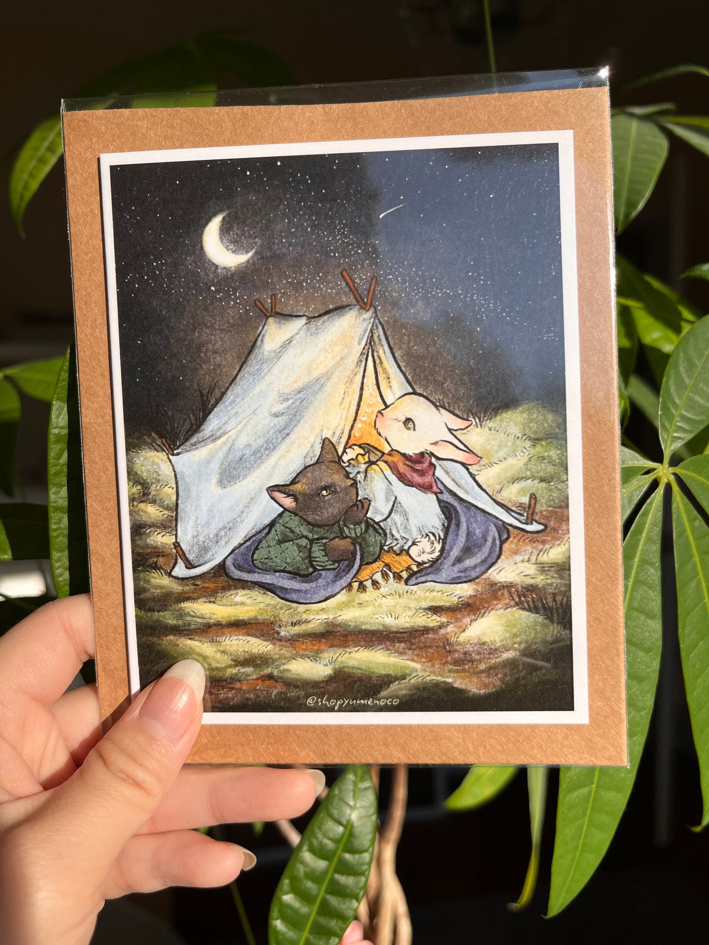 Camping Animals Greeting Card
