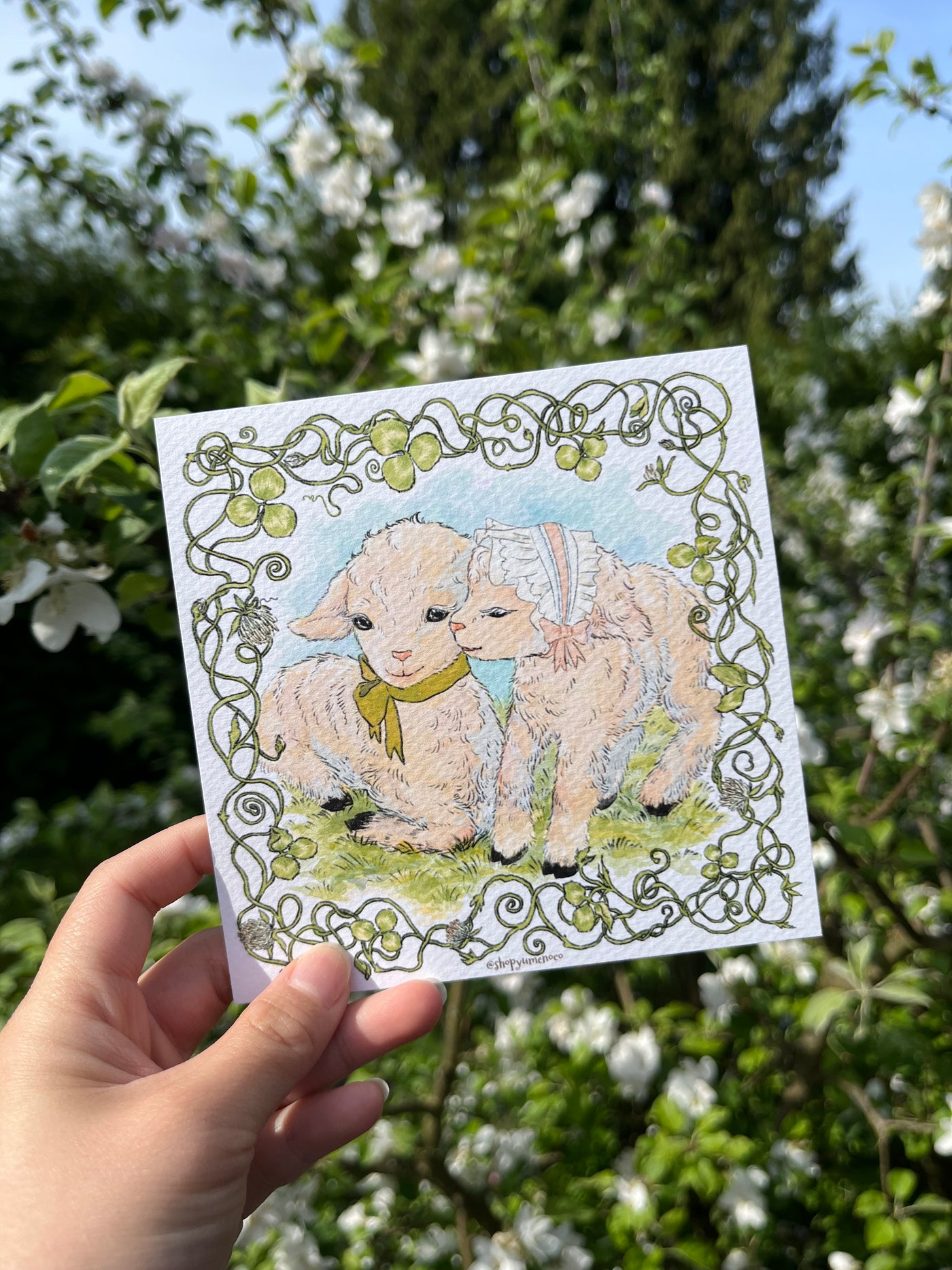Lamb's Kiss Print