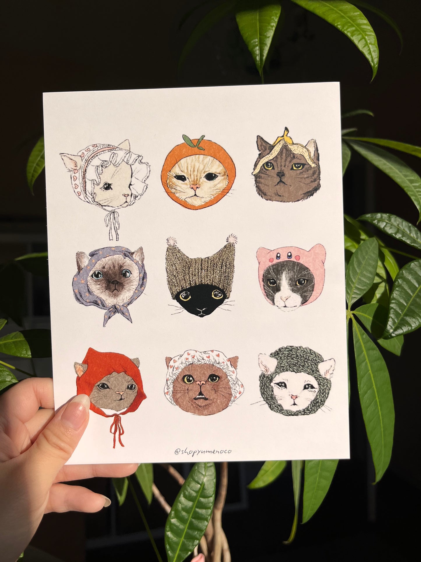 Cats Wearing Hats Print