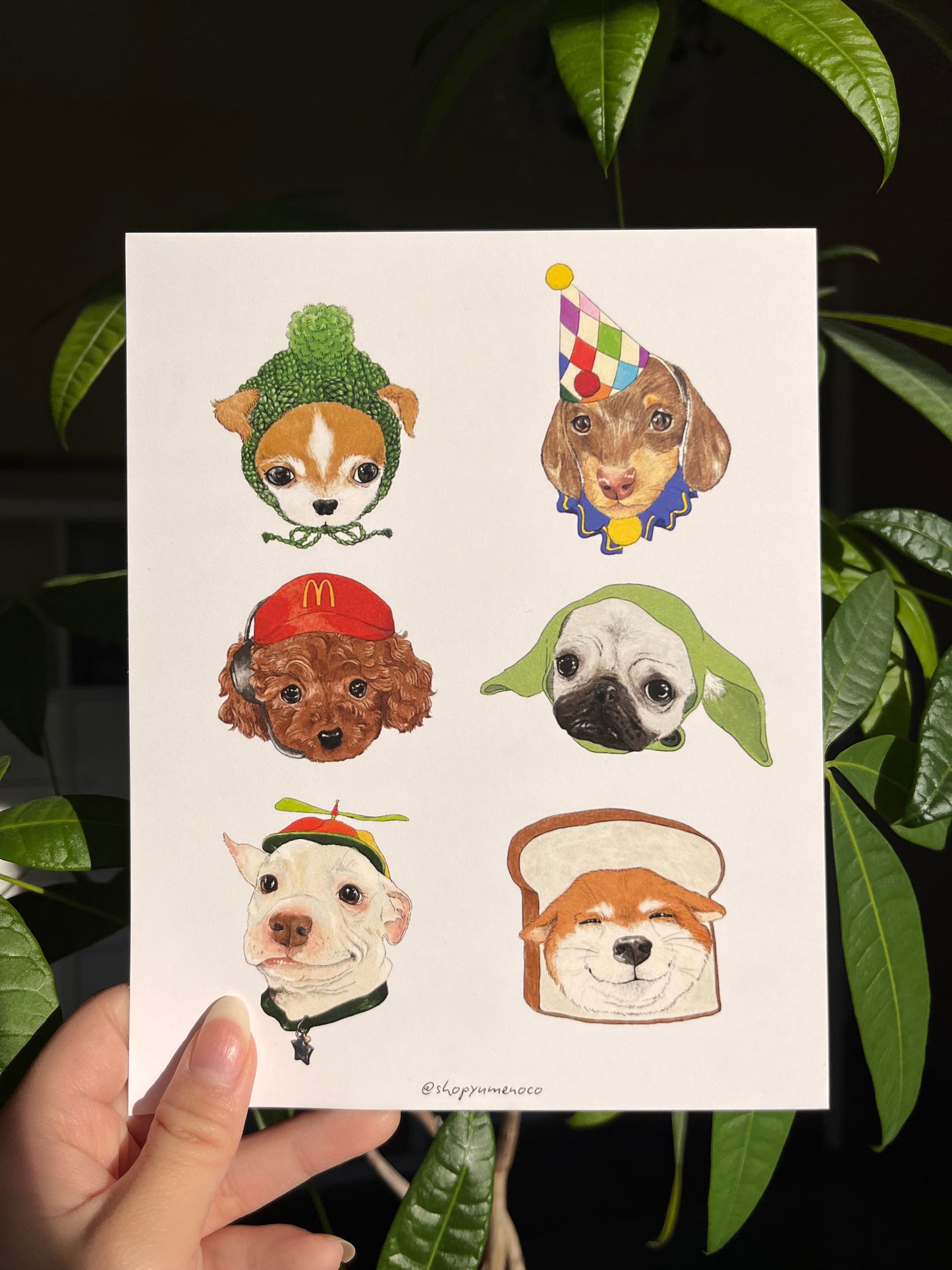 Dogs Wearing Hats Print
