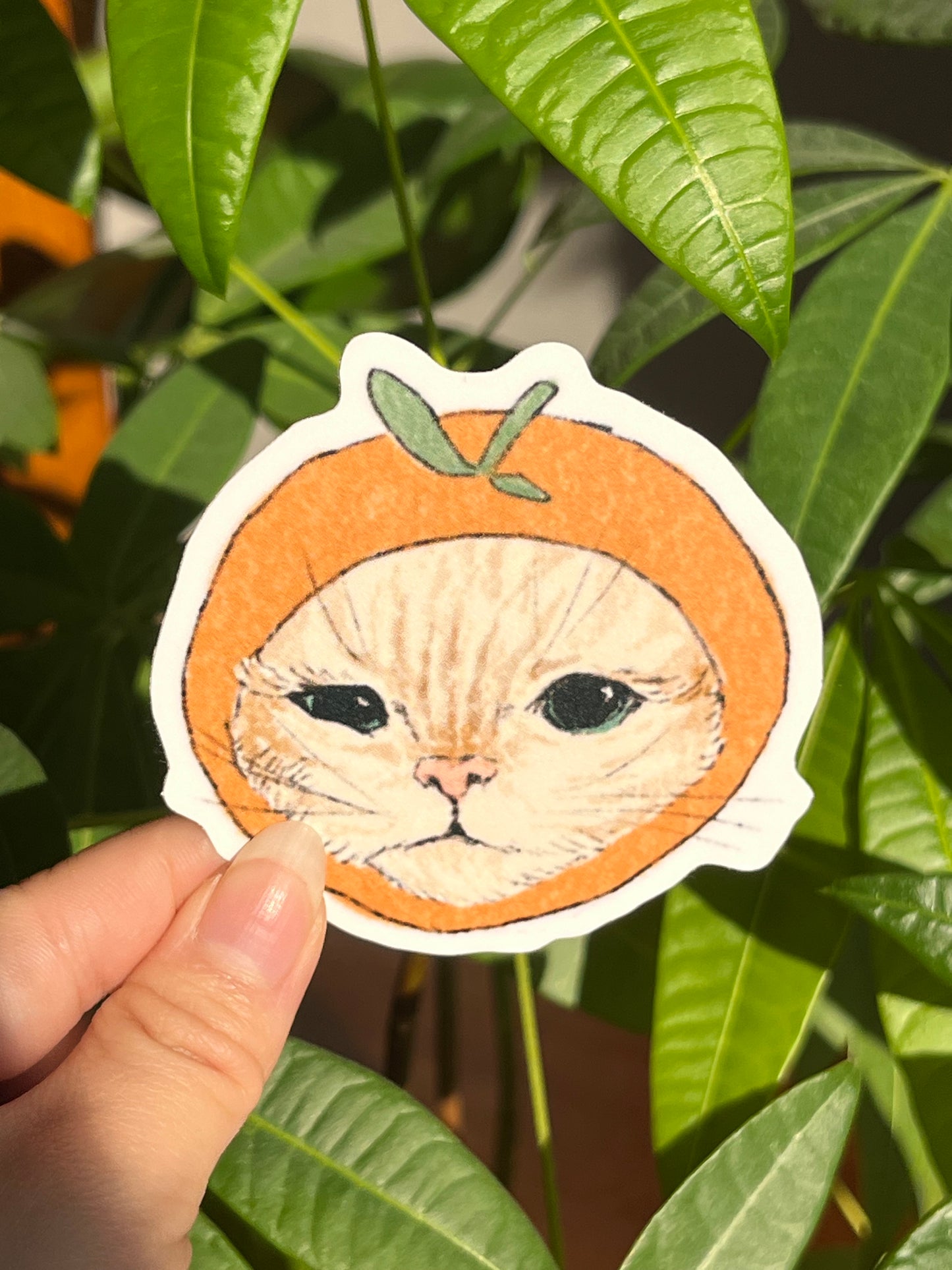 Orange Cat Sticker