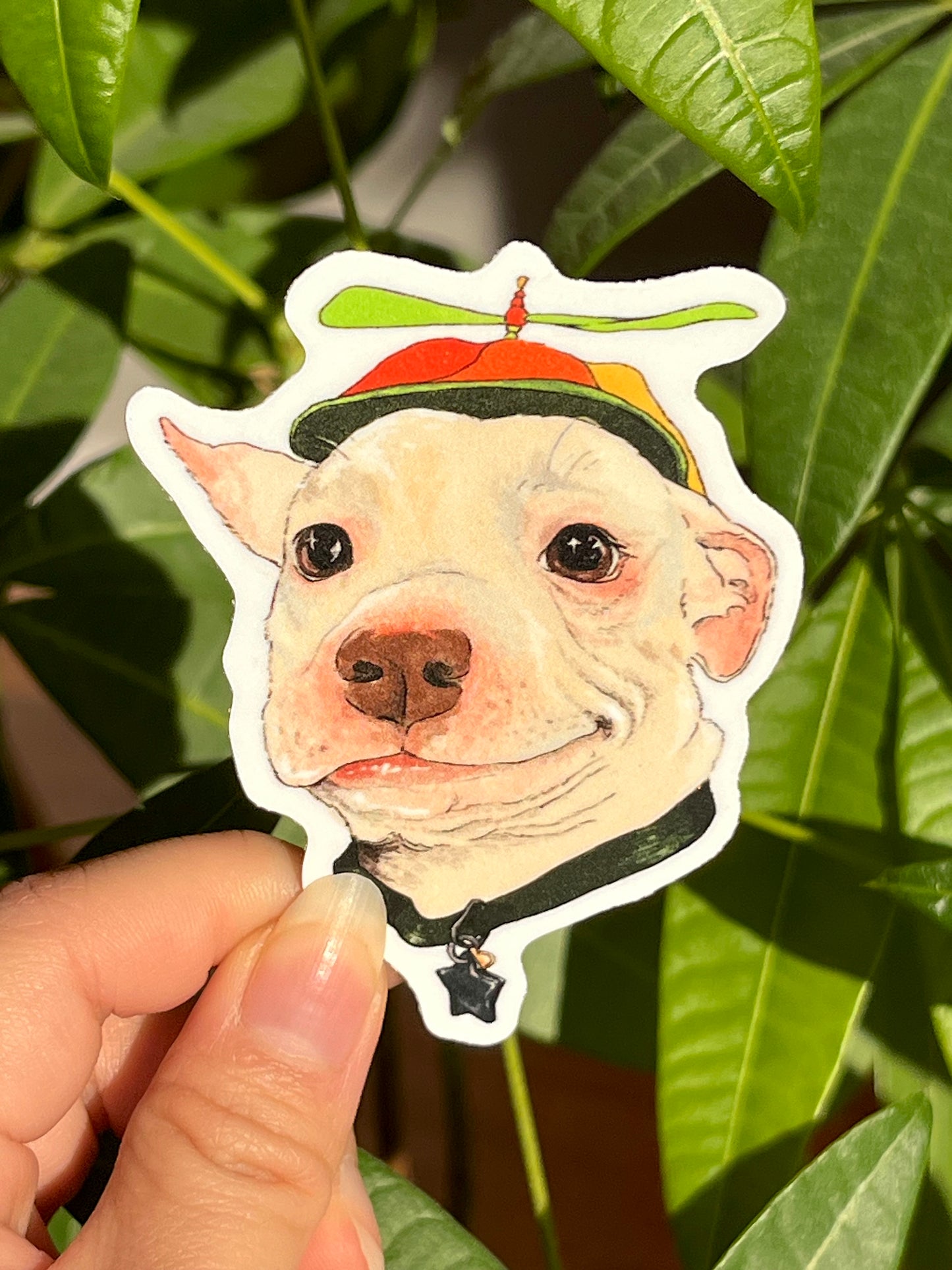 Propeller Hat Pitbull Sticker
