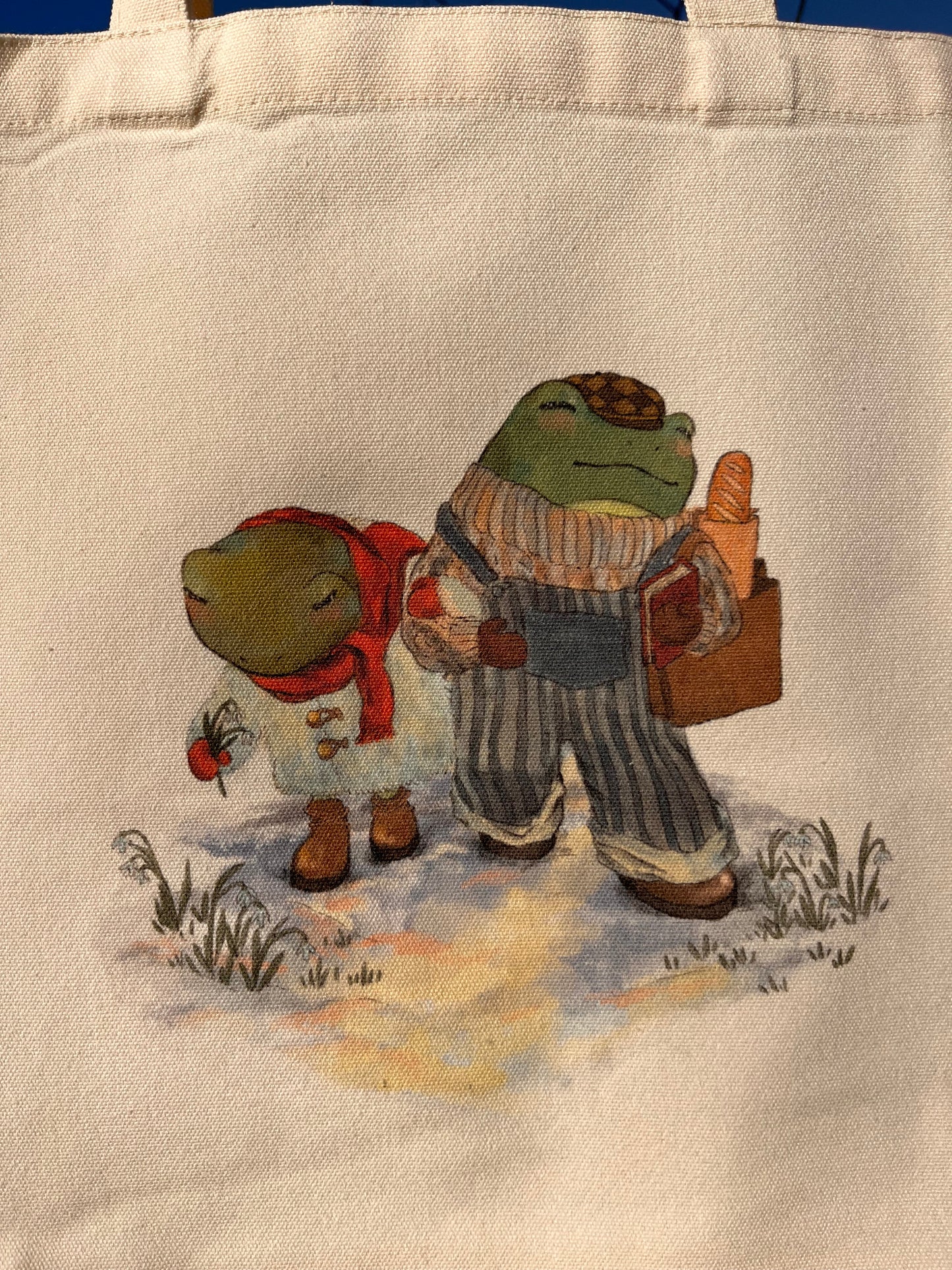 Wintery Frog Tote